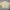 Sweater Cream Half Button By Soie photo 2