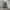 SALOMON S-LAB XT6 photo 3