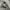 NEW BALANCE 1906L  photo 1