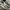 NEW BALANCE 1906L  photo 2