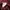 AVGAL Kemeja Maroon  photo 7