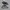Adidas Yeezy photo 1