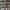 ADIDAS X CP COMPANY ITALIA SPZL , ADIDAS X CP COMPANY ITALIA photo 4