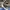 ADIDAS X CP COMPANY ITALIA SPZL , ADIDAS X CP COMPANY ITALIA photo 8