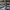ADIDAS X CP COMPANY ITALIA SPZL , ADIDAS X CP COMPANY ITALIA photo 1