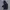 Jaket Outdoor Lafuma Goretex Gorpcore Waterproof photo 1