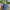 Topi Cap NYC New Era Denim Size Free Adjustable photo 1