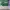 AIR JORDAN 1 LOW MYTIC GREEN photo 5