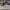 AIR JORDAN 1 LOW MYTIC GREEN photo 1