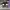 AIR JORDAN 1 LOW MYTIC GREEN photo 2