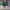 AIR JORDAN 1 LOW MYTIC GREEN photo 4