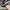 AIR JORDAN 1 LOW MYTIC GREEN photo 6