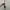 Prada Casual Crossbody Bag Wanita brown photo 5