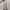 Prada Casual Crossbody Bag Wanita brown photo 6