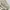 ZARA Casual Summer dress Wanita tan photo 7
