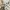 ZARA Casual Summer dress Wanita tan photo 5