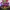 PLATFORM GAME ONLINE PENGHASIL CUAN photo 1