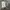 Shoulder Bag by Charles & Keith photo 1