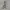 Jaket Sport Windbreaker Xexymix Hiker Crop Broken White  photo 7