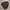 UNIQLO BROWN LONGSLEEVE photo 3