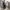 Sepatu TIMBERLAND Hillburn Chukka Boots Made in China photo 7