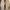 Sepatu TIMBERLAND Hillburn Chukka Boots Made in China photo 8