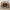 DC Shoes Casual Y2K Hat Pria tan brown photo 3
