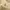 Burberry Luxury Vintage Sweater Wanita yellow cream photo 3