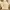 Burberry Luxury Vintage Sweater Wanita yellow cream photo 1
