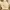 Burberry Luxury Vintage Sweater Wanita Yellow Cream