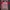 Jersey Southampton Home 2014 size M multisport photo 1
