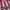 Jersey Southampton Home 2014 size M multisport photo 3