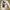crop top y2k shein photo 1