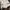 Sportswear Minimalist Sweatshirt Pria white black photo 1