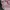 Skechers Stars Away Pink Ori photo 3