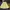 Vintage Skirt Wanita white yellow photo 1