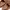 Birkenstock Avant Garde Casual Casual shoe Pria brown photo 4
