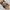 VINTAGE TIE'S ENRICO ALLONI ITALY photo 3