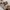 VINTAGE TIE'S ENRICO ALLONI ITALY photo 5