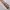 VINTAGE TIE'S ENRICO ALLONI ITALY photo 2
