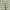 Burberry Nova Check Trousers Pants photo 8