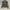 Jaket army gaya militer ruffle katun kanvas photo 4