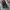 Vtg Boots French Army ArgueyRolles photo 3
