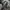 Vtg Boots French Army ArgueyRolles photo 5