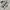 HOODIE MASTERKEY  photo 6