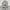 HOODIE MASTERKEY  photo 2