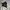 Southplay ECWCS Parka Jacket

