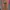 Kaftan Katbol + Inner Pink Peach photo 1