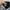 Hd sherpa Quiksilver photo 4