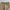 Kapital Kountry Vintage Casual Casual pants Pria tan photo 4